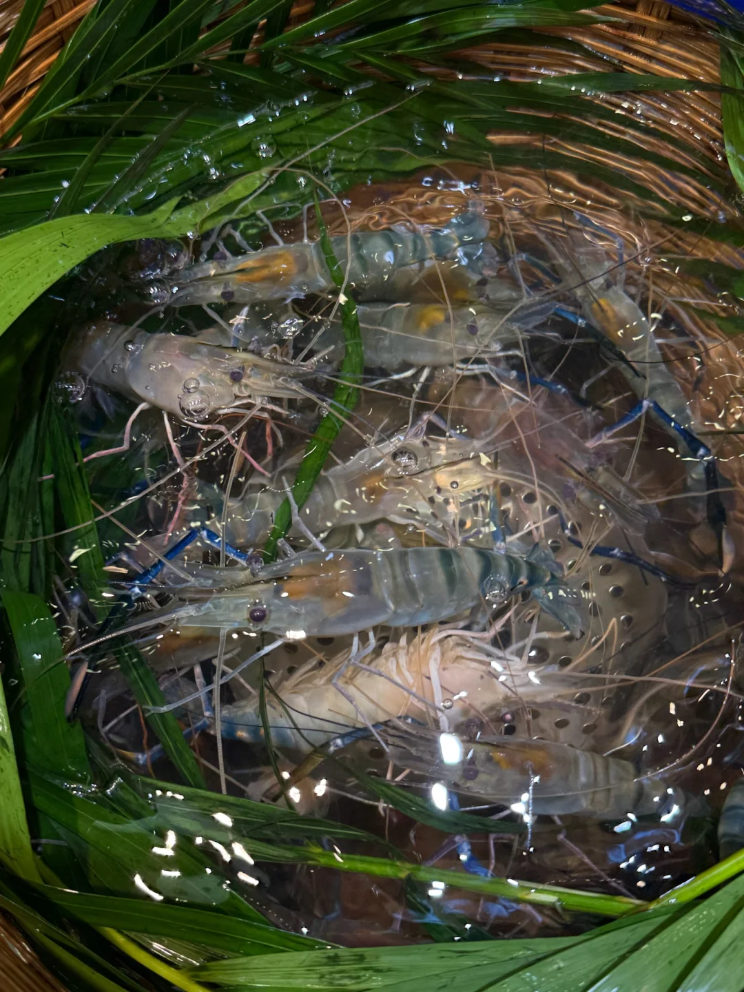 扶墙出