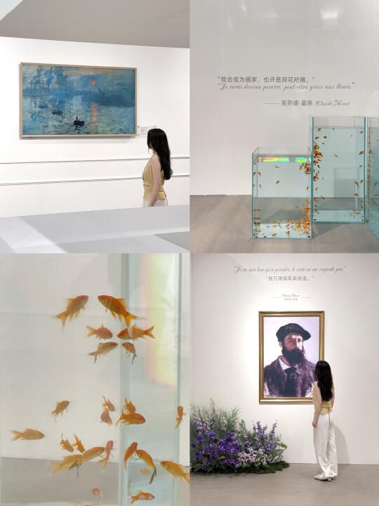 深圳新展！仿佛坠入梦幻的莫奈花园🪻
