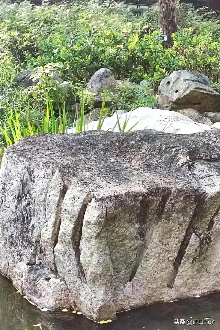 我同学老公说她就是劳累命，这不，又去收拾儿子的家了。
她儿子不会家务，儿媳妇吧工