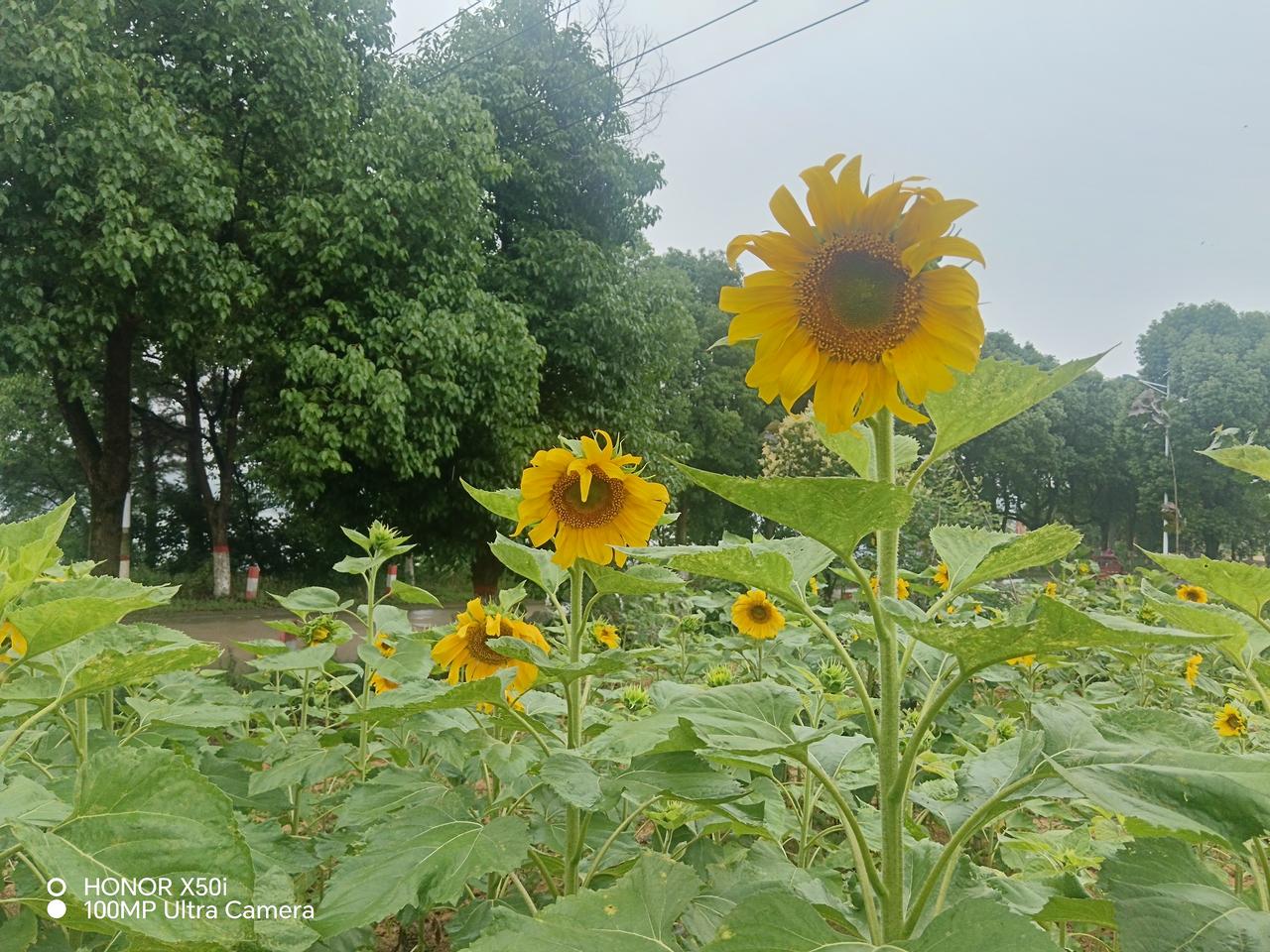 高考后怎么带孩子放松鼓励孩子把说不出的感受写下来，写完可以不看或撕掉，重点是让情