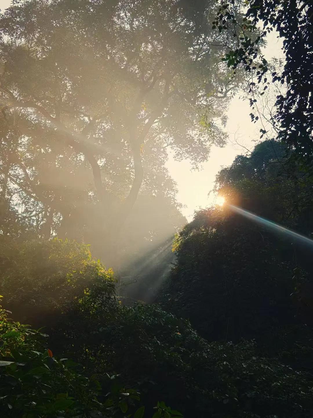 张小娴说：
人生总是在遗憾中领略圆满

从分离的思念中领略相聚的幸福

从背叛的