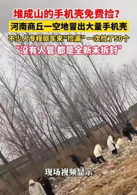 解释不清了！”
近日，河南一男子在郊区散步时，突然发现不远处一处洼地里，竟然堆满