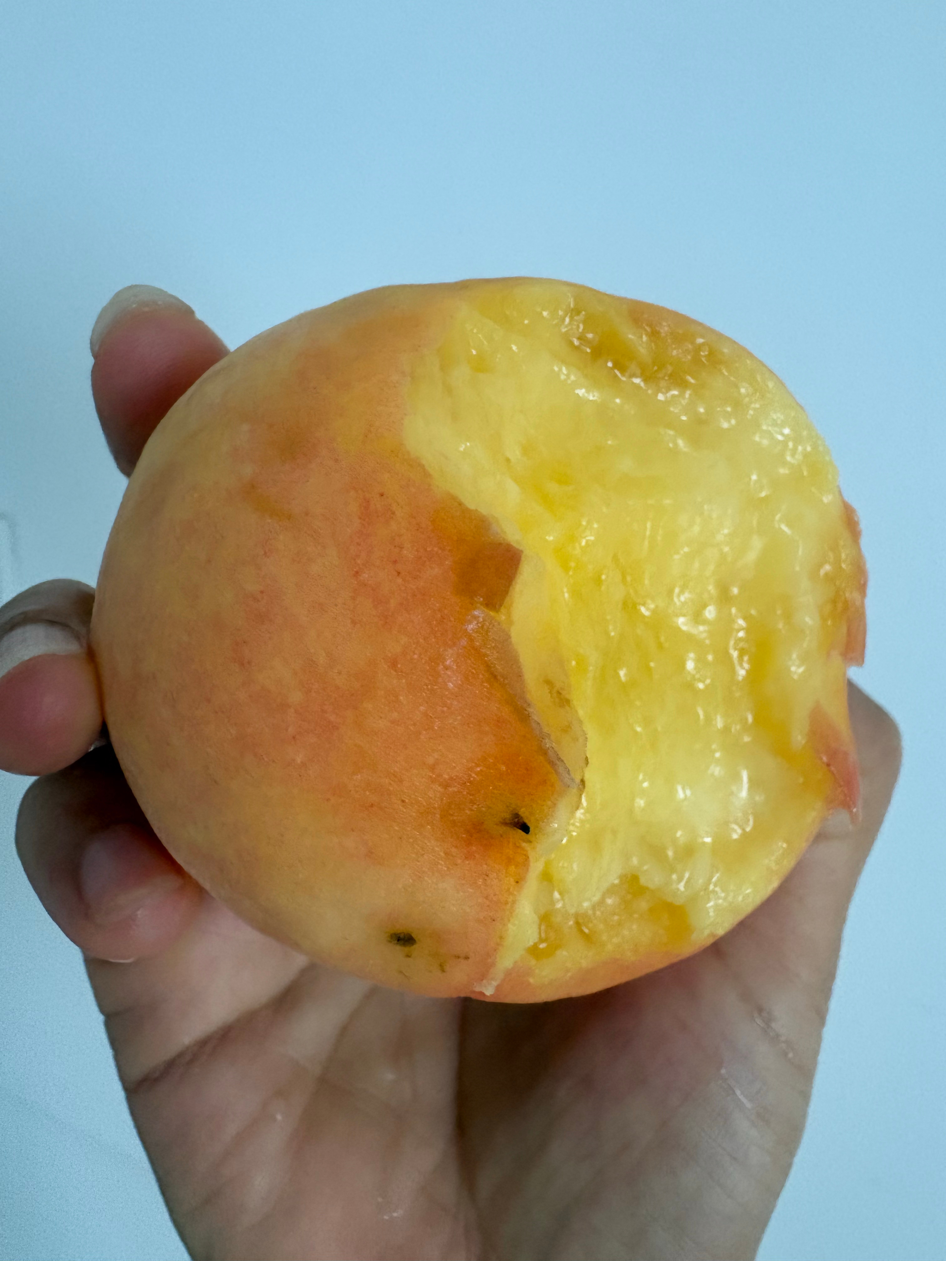 阳山水蜜桃🍑果然是桃皮儿吹弹可破，但是口感还是比不上奉化水蜜桃哦 