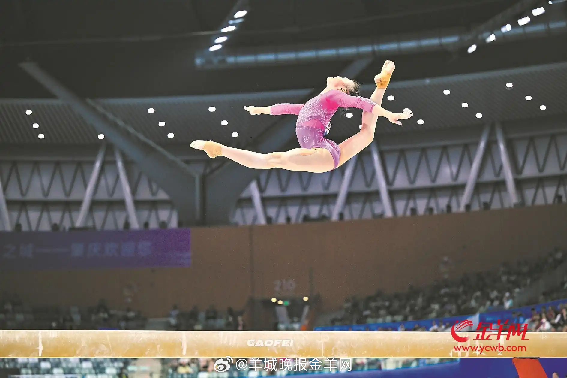  【：我想成为世界冠军，参加奥运会】11月15日，十五运会体操成年组女子个人全能