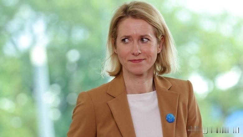 欧盟外交负责人卡拉斯4月21日在卢森堡宣布，正在制定提案，限制俄罗斯前战斗人员进