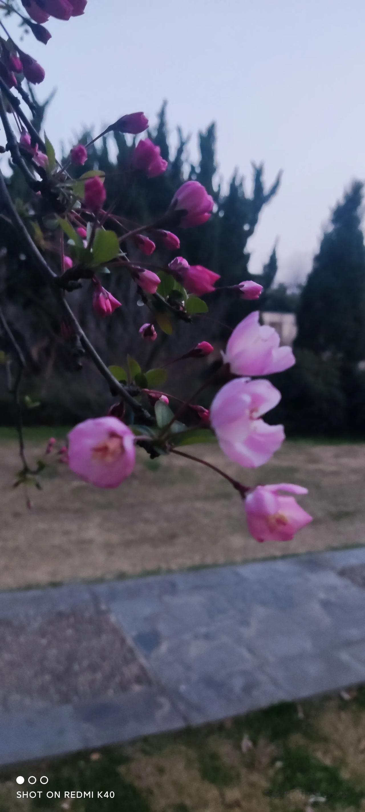 今天，你笑了吗。。。

只为
眼前的风景
这黄昏
走过
某个熟悉的小径
有
湖水