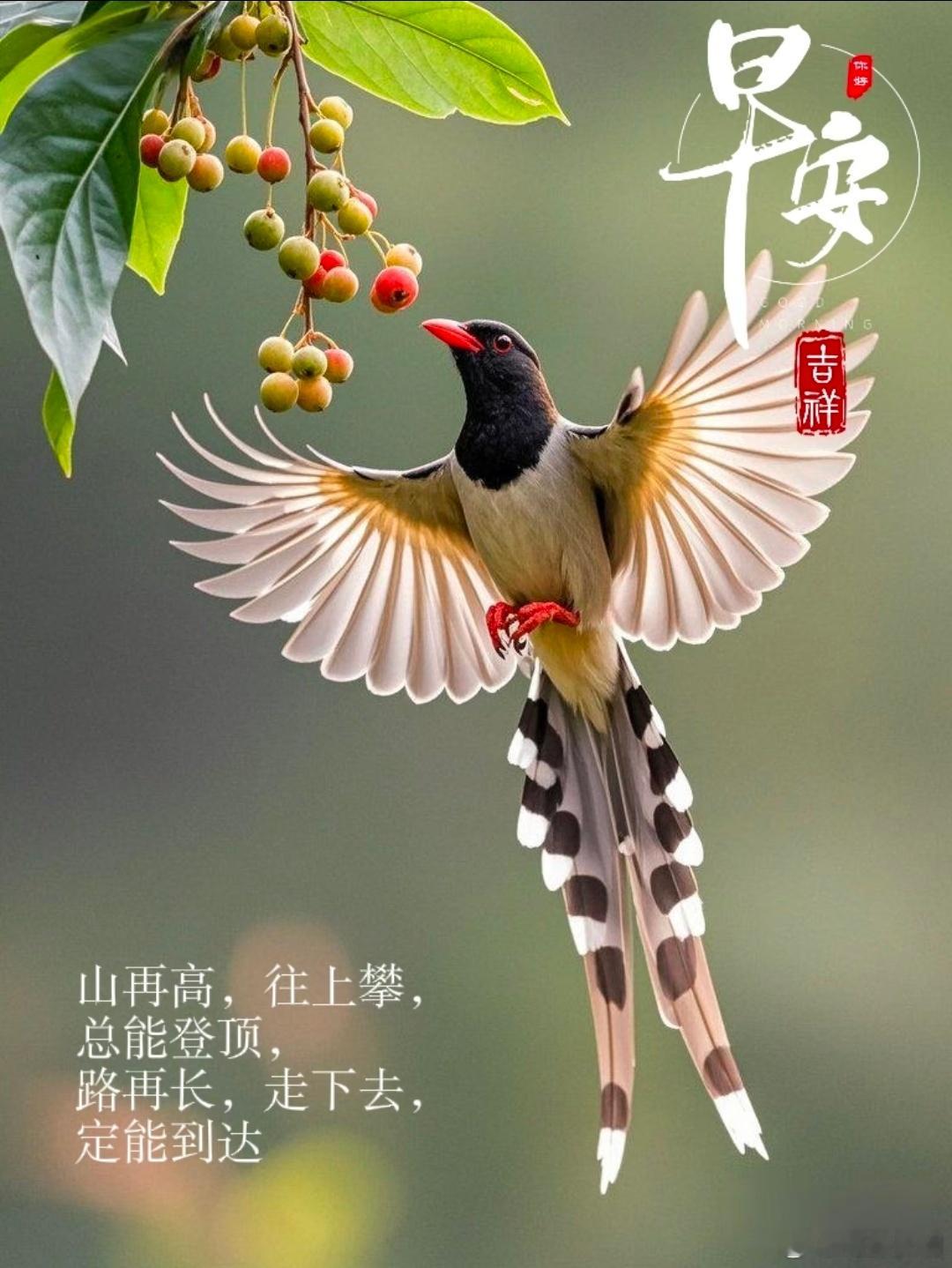 早安，静享生活的美好时光 🌸清晨的阳光洒在窗台，唤醒了沉睡的梦，也唤醒了对生活