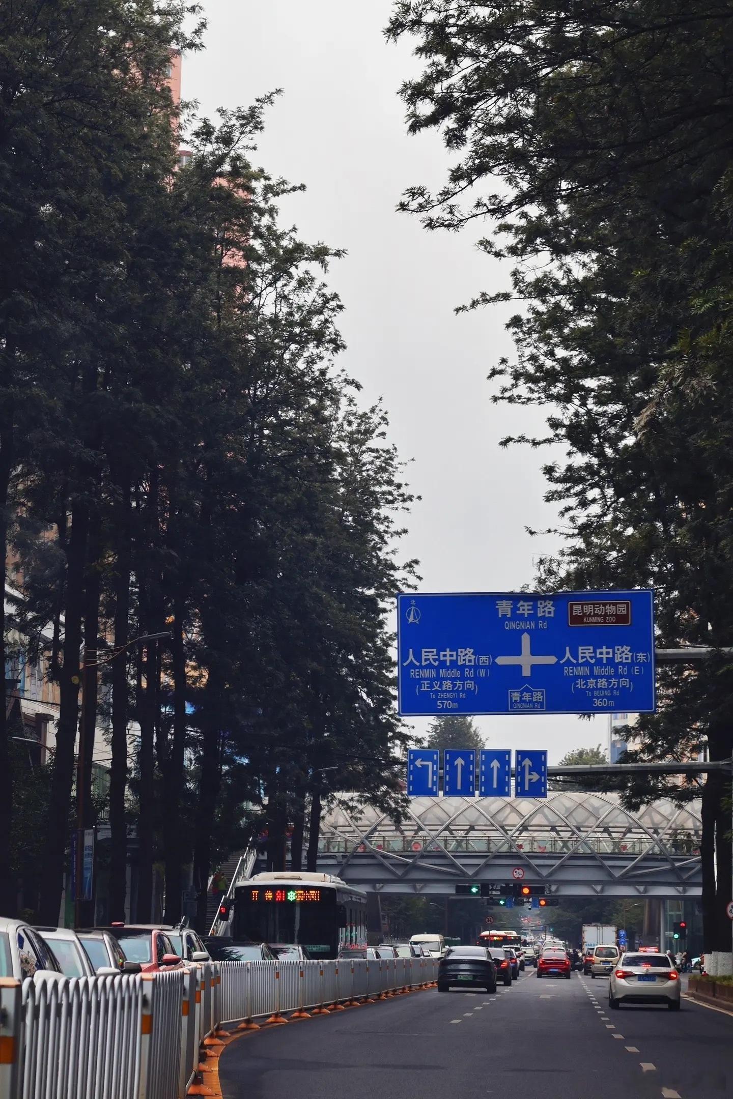 我爱翠湖 我爱云南#日常分享接龙# ​​​