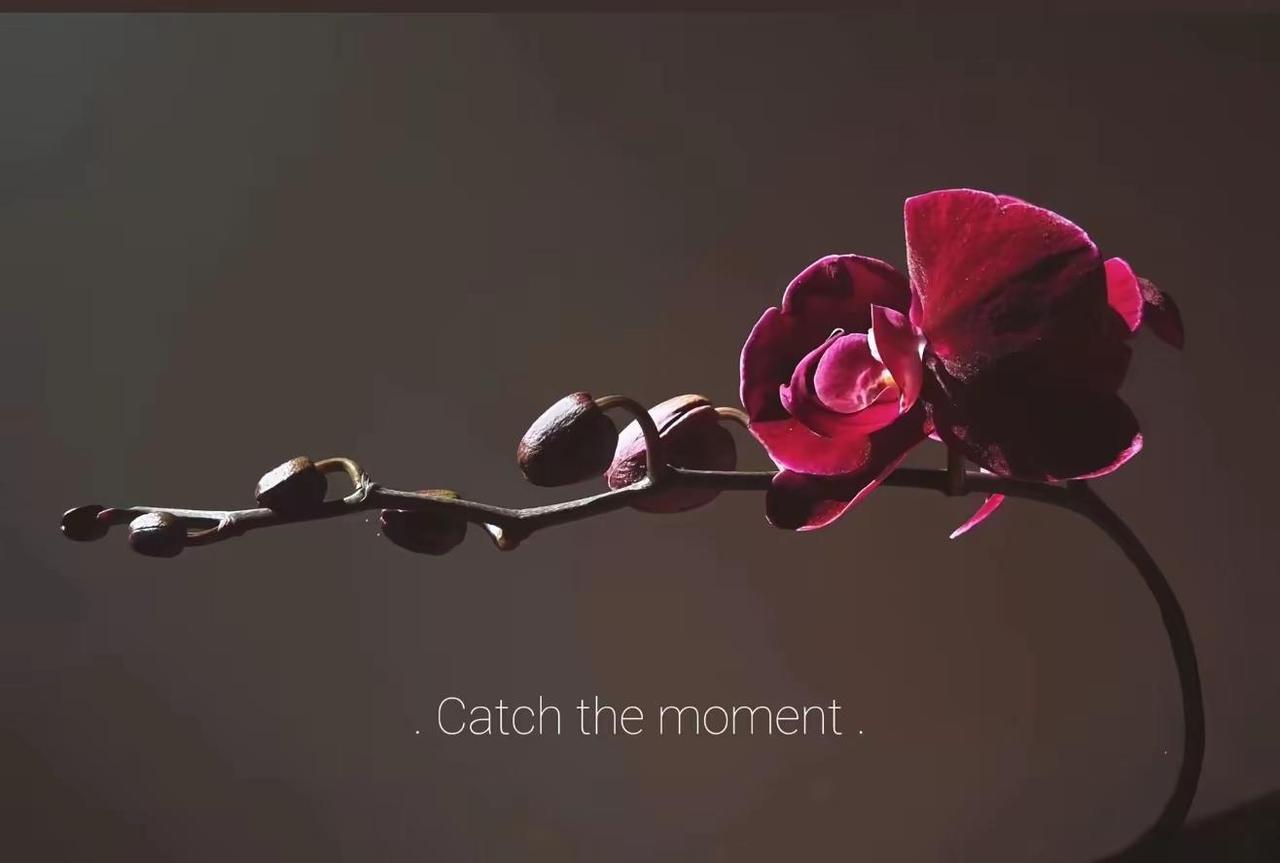 亲爱的老己：今年做个温暖的人以最大的平静去爱我们不确定的生活，人静   心安  