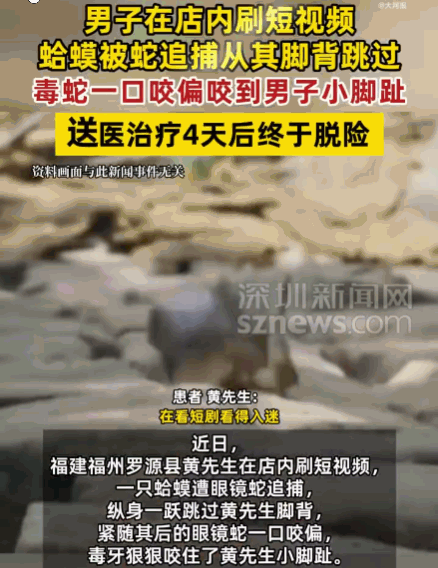 7月9日报道，福州，一男子在店内刷短视频，恰逢一只蛤蟆为躲避眼镜蛇追捕，纵身一跃
