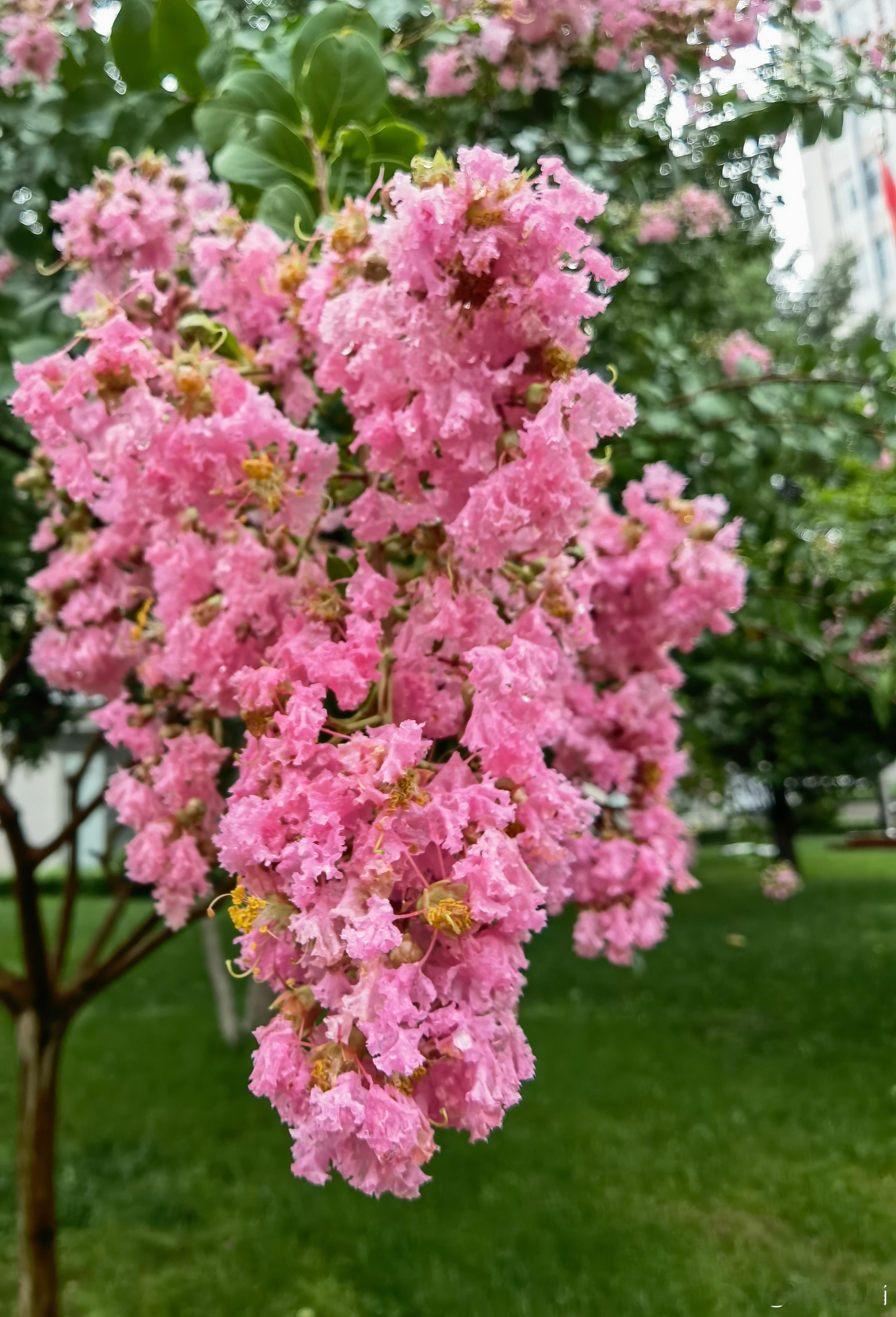 S-仅仅是为了控制节奏，要“慢牛”！绝不是要把行情打压下去！这个必须有清醒的判断