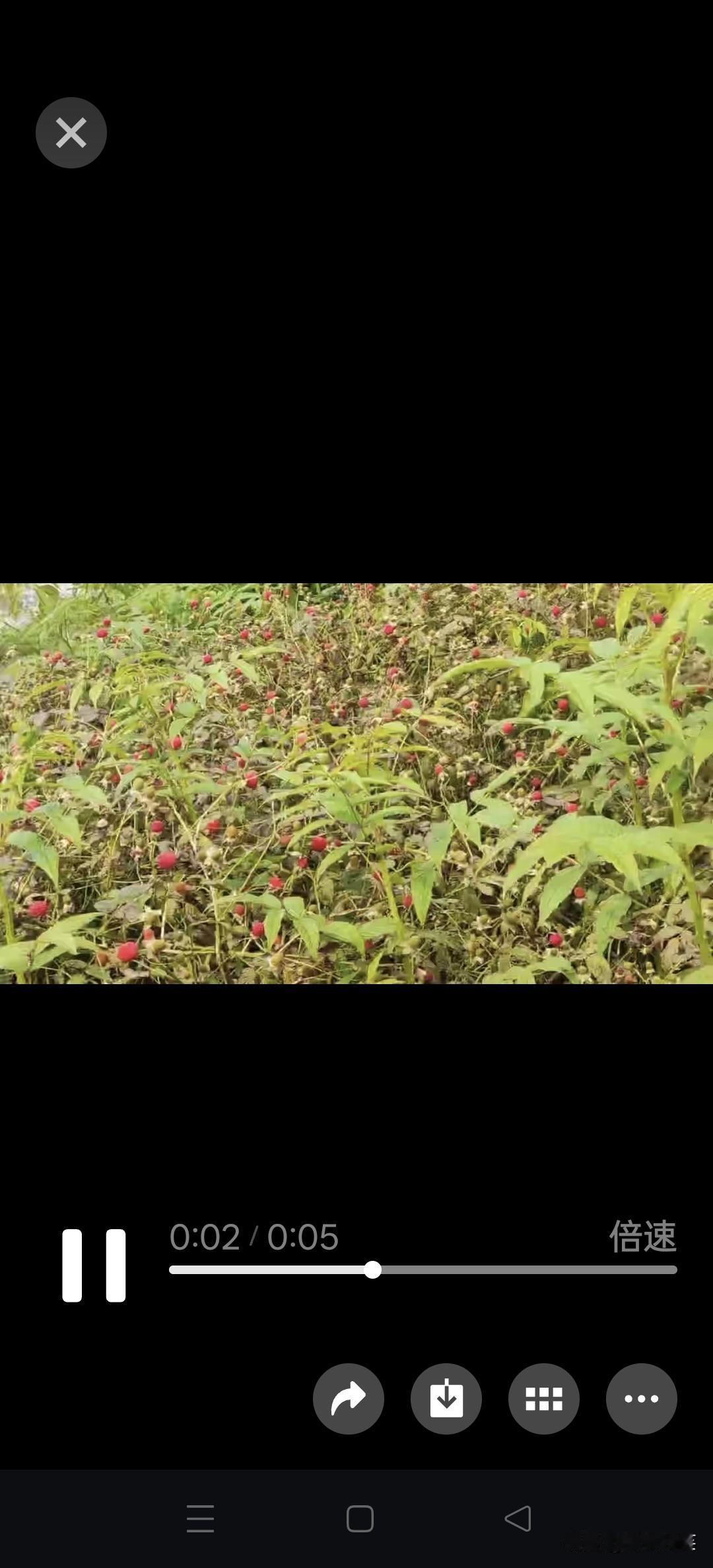 下联：今朝细雨润花红

赏析：这幅对联的下联“今朝细雨润花红”与上联“昨夜清风舒