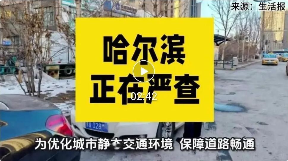 哈尔滨正在严查！-5acezbLrg