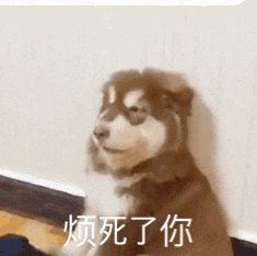 聊天新选择，表情包不试试？ 更新不易，拿图点赞[心]更多表情包请看主页[心] ​