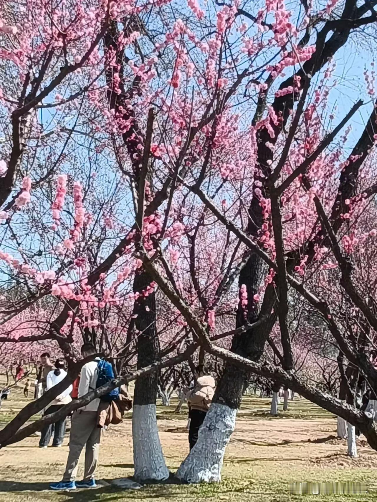 你身边老人遇到过扫码送礼骗局吗？
这个问题非常让人扎心，我身边有很多老人都遇见过