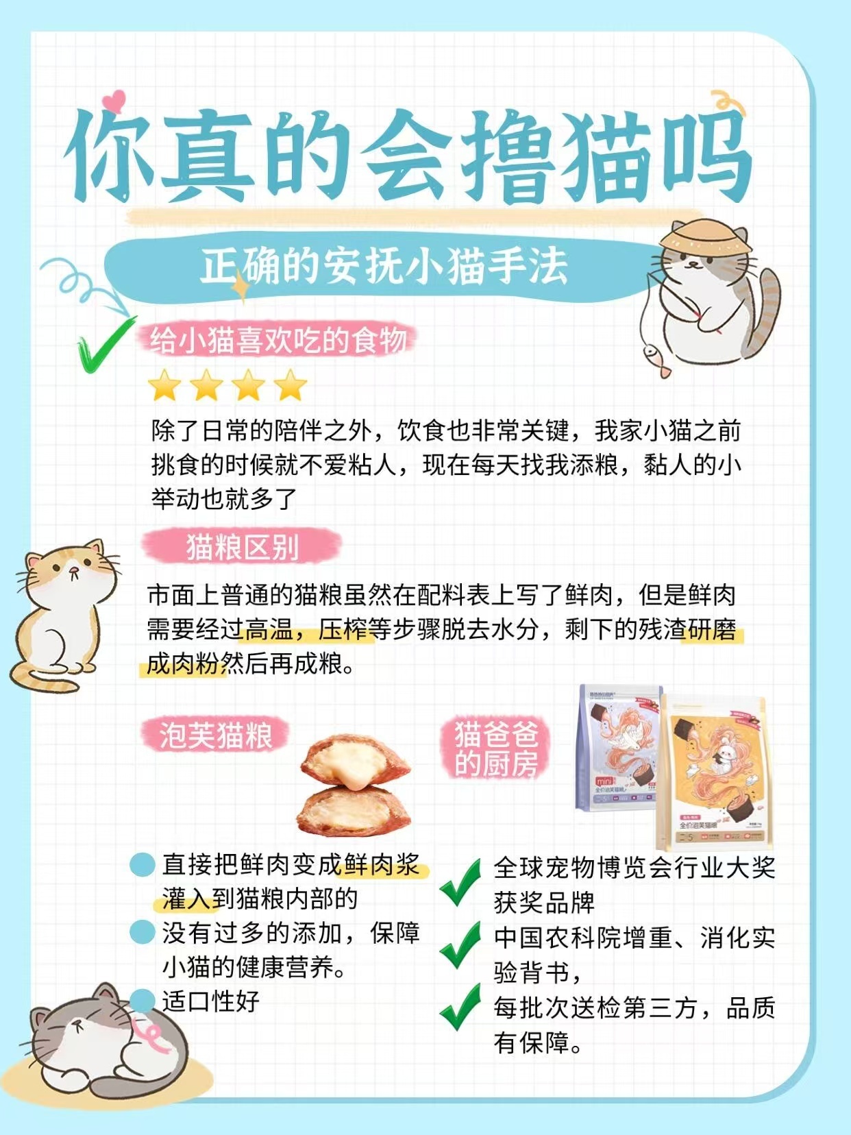田曦薇王安宇都无法抵挡猫咪的可爱忙忙碌碌寻宝藏 寻宝途中偶遇猫咪，两人瞬间忘记任