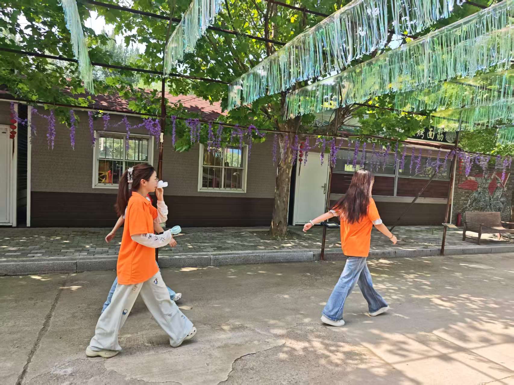 秦岭笑谈  曲园学子助力基层治理文明实践曲阜师范大学大学生社会实践 中国青年网济