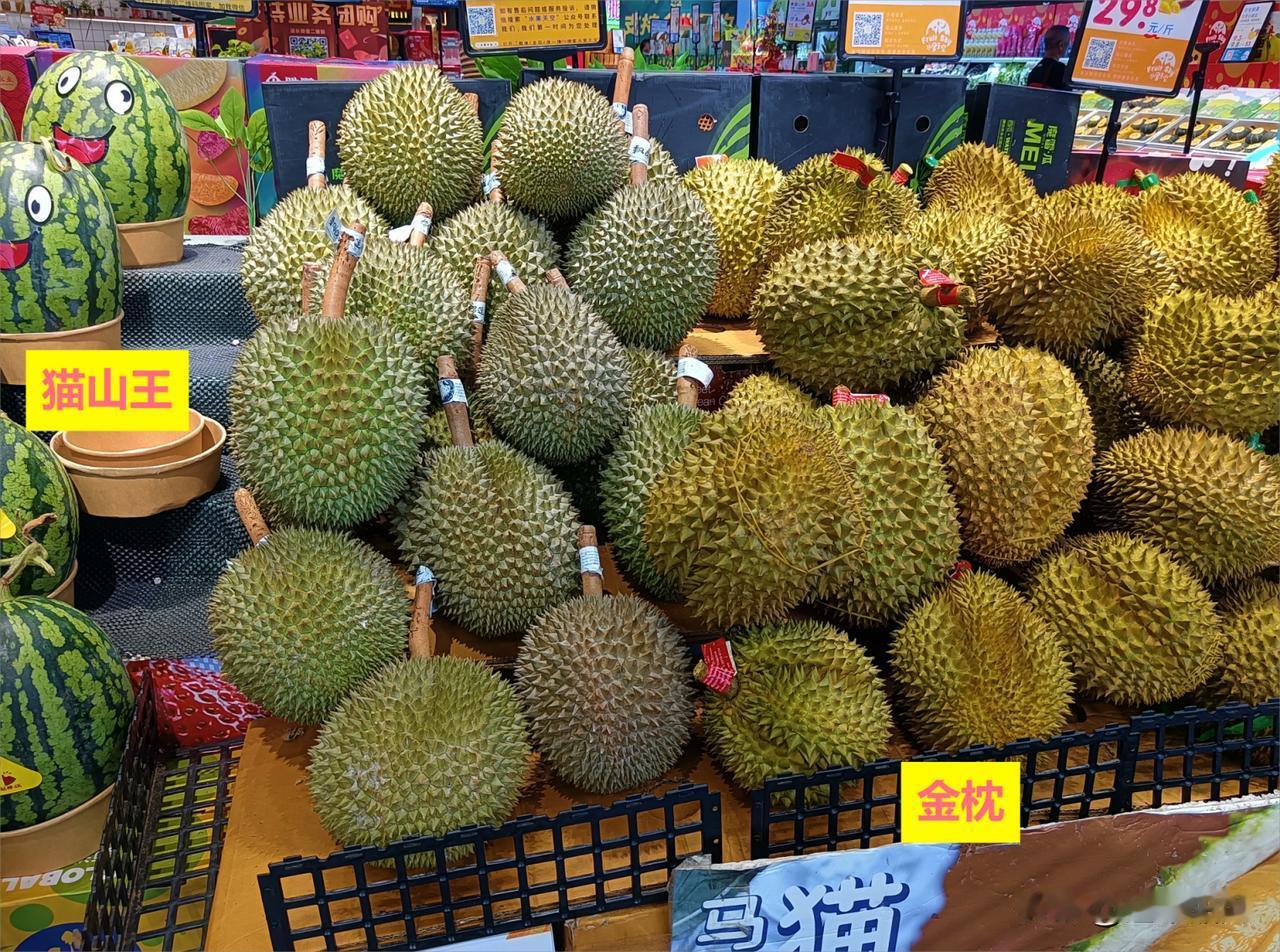 马来西亚新鲜榴莲将到中国。日前，中国和马来西亚签署一项协议，马来西亚新鲜榴莲将可