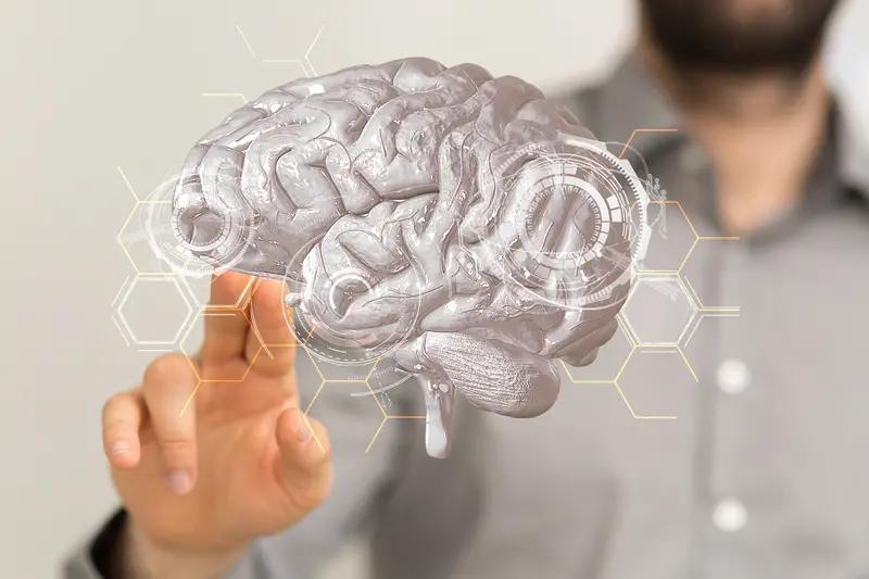 人类与人工智能的区别还蛮大的。从智力角度看，人类大脑是天生的“预测机器”，像交谈