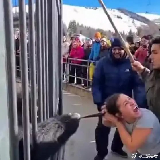 《动物园里的惊险一幕》播放量：2712作者：做个有光的人网页链接