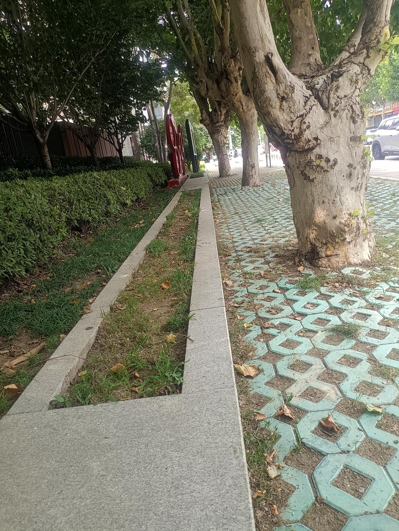北京协和医院张海敏博士说：“不要对你的伴侣期待太高，有的婚姻只是身体的陪伴，而彼