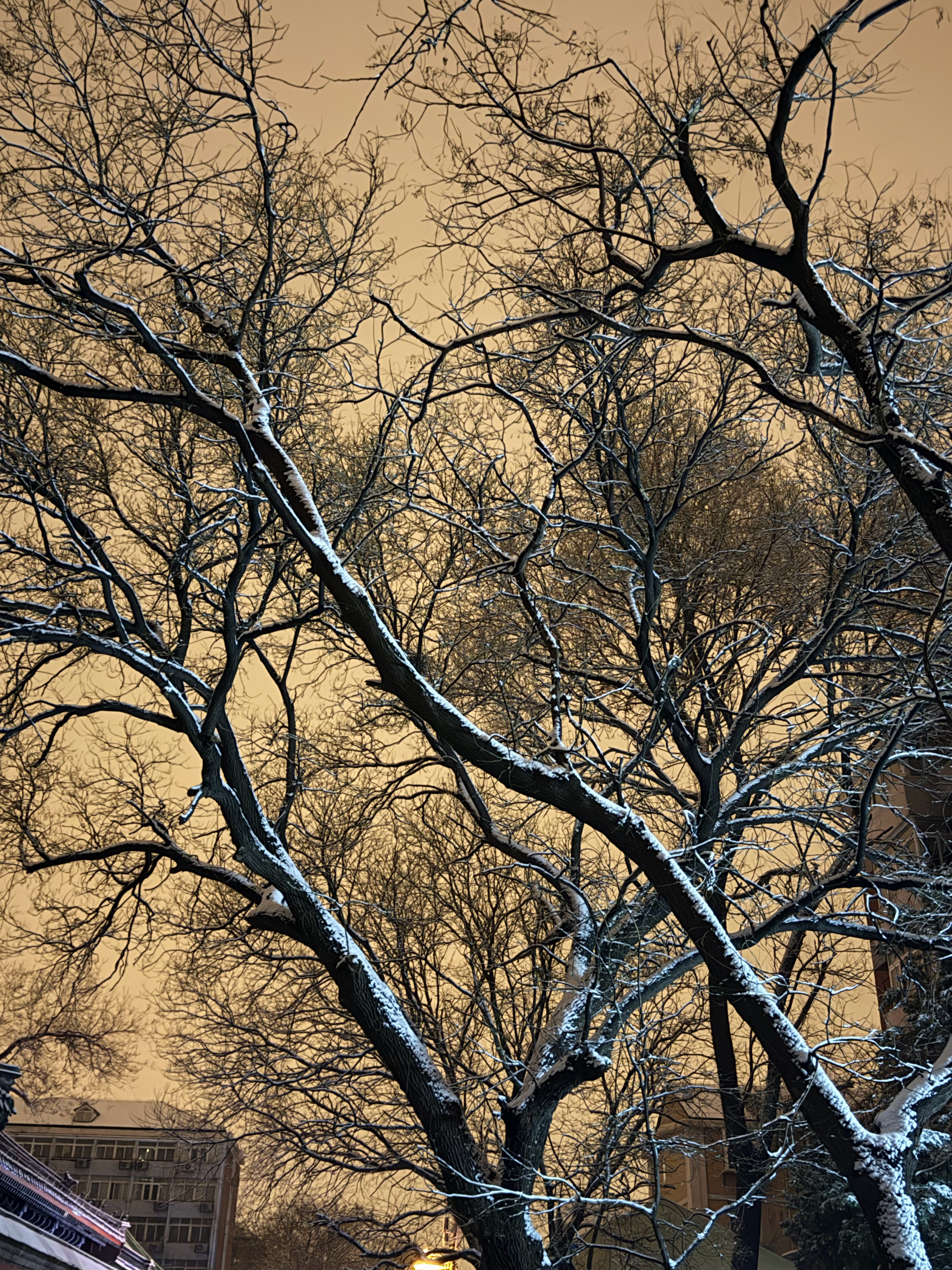 都三月了，北京还下鹅毛大雪 北京·广安门内大街