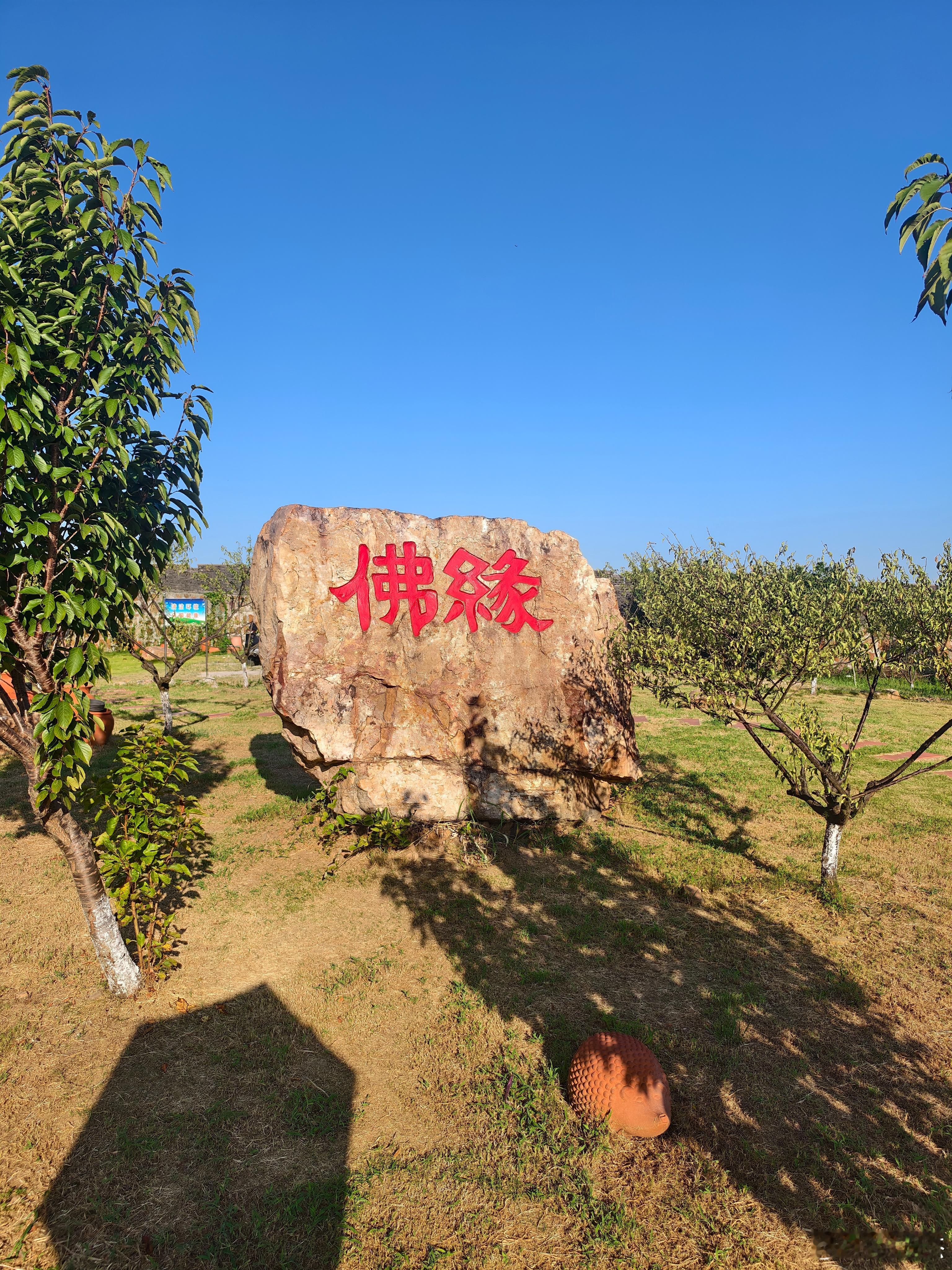 打不过就加入，这是生存法则，不要跟趋势作对～～～明白的666 ​​​
