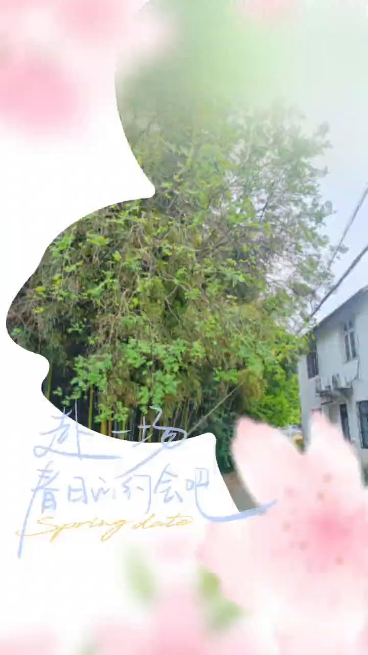 苏迪节。