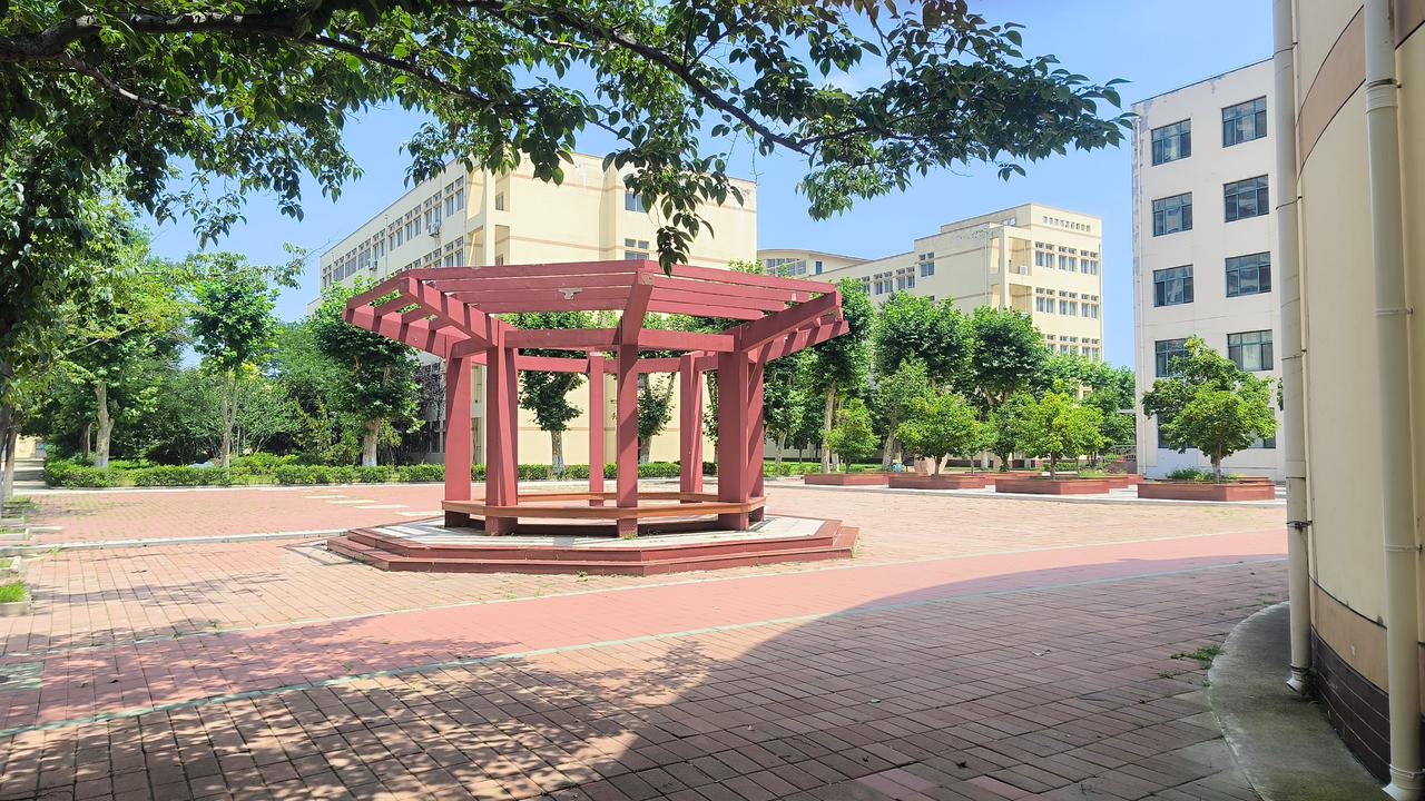 夏日阴阴三伏天，静候校园当值班。
​翠竹掩映成蹊后，紫藤攀援杨柳前。
​蝉噪顿觉