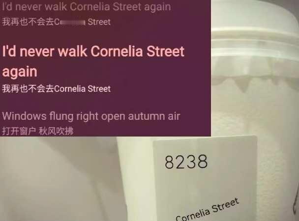 I'd never walk Cornelia Street again.
没有
