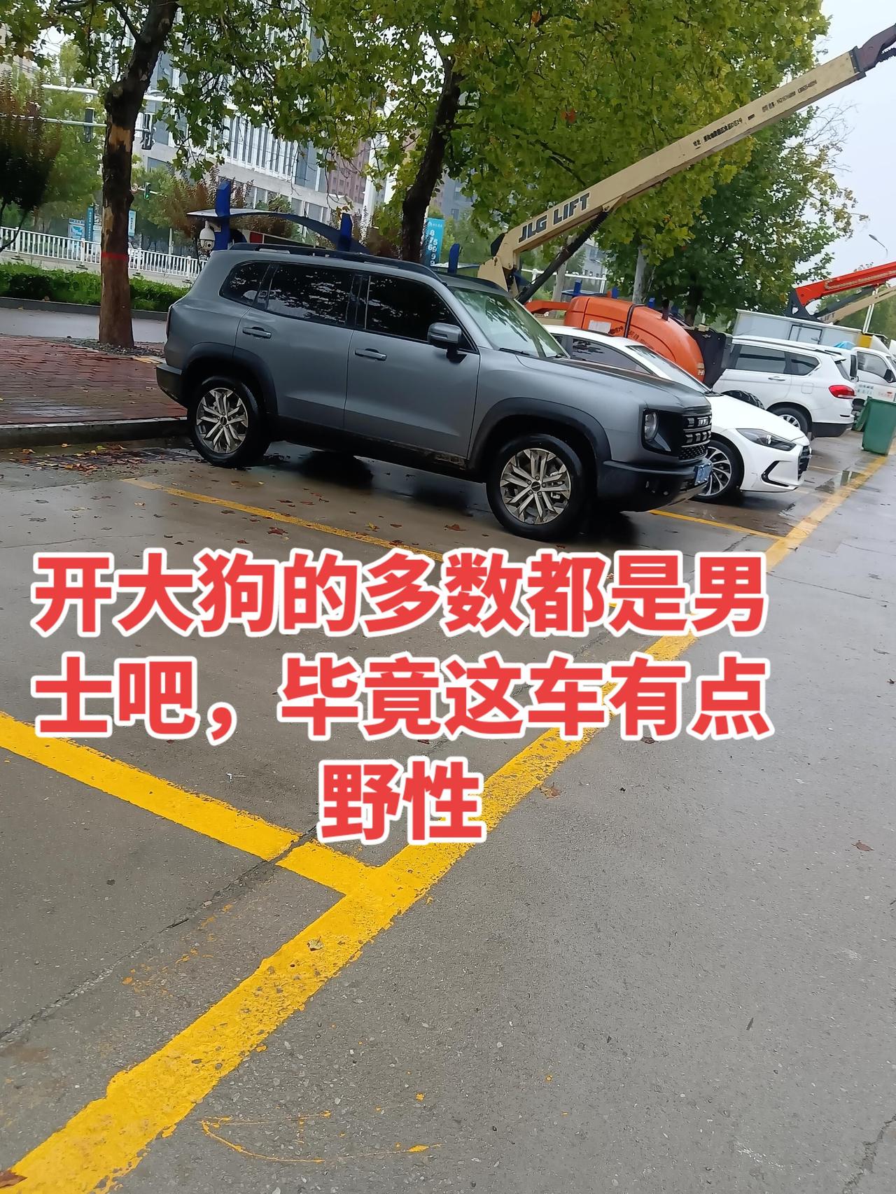 为什么女生买大狗的不是很多，难道车太高不好驾驭吗？