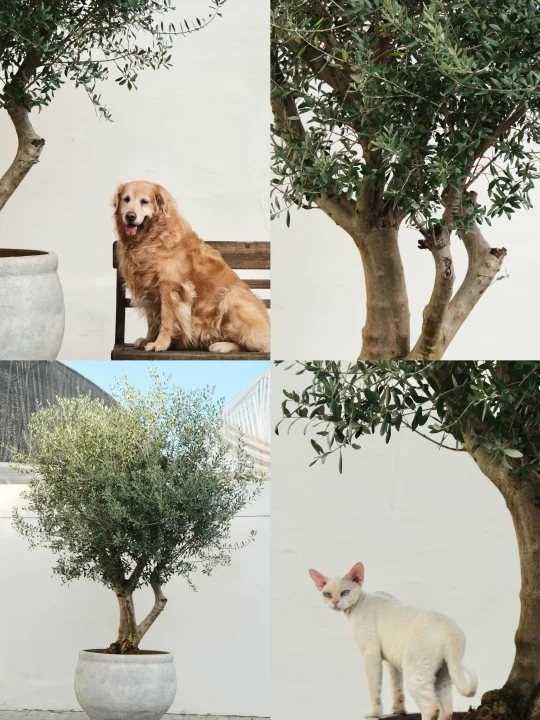 永远热爱蓬勃向上的旺盛生命力