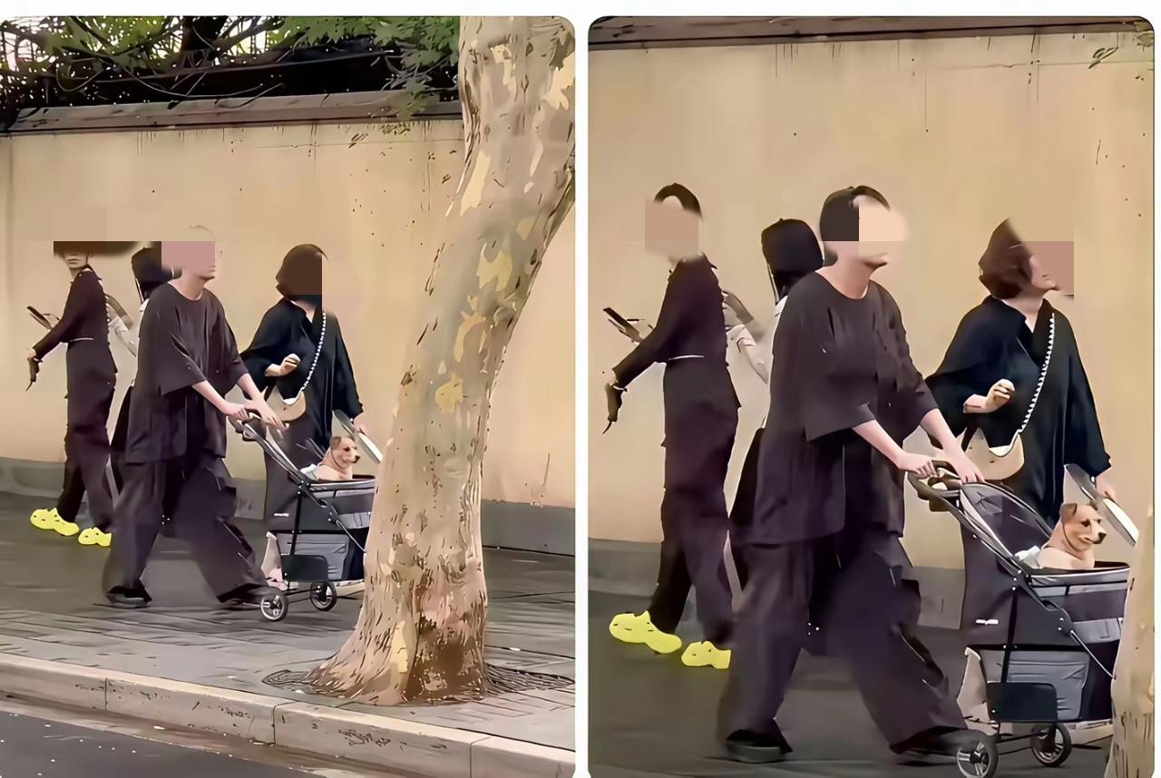 这只“狗儿子或狗闺女”在他们家的地位一定很高，出行都有专门的座驾，这是一只幸福的