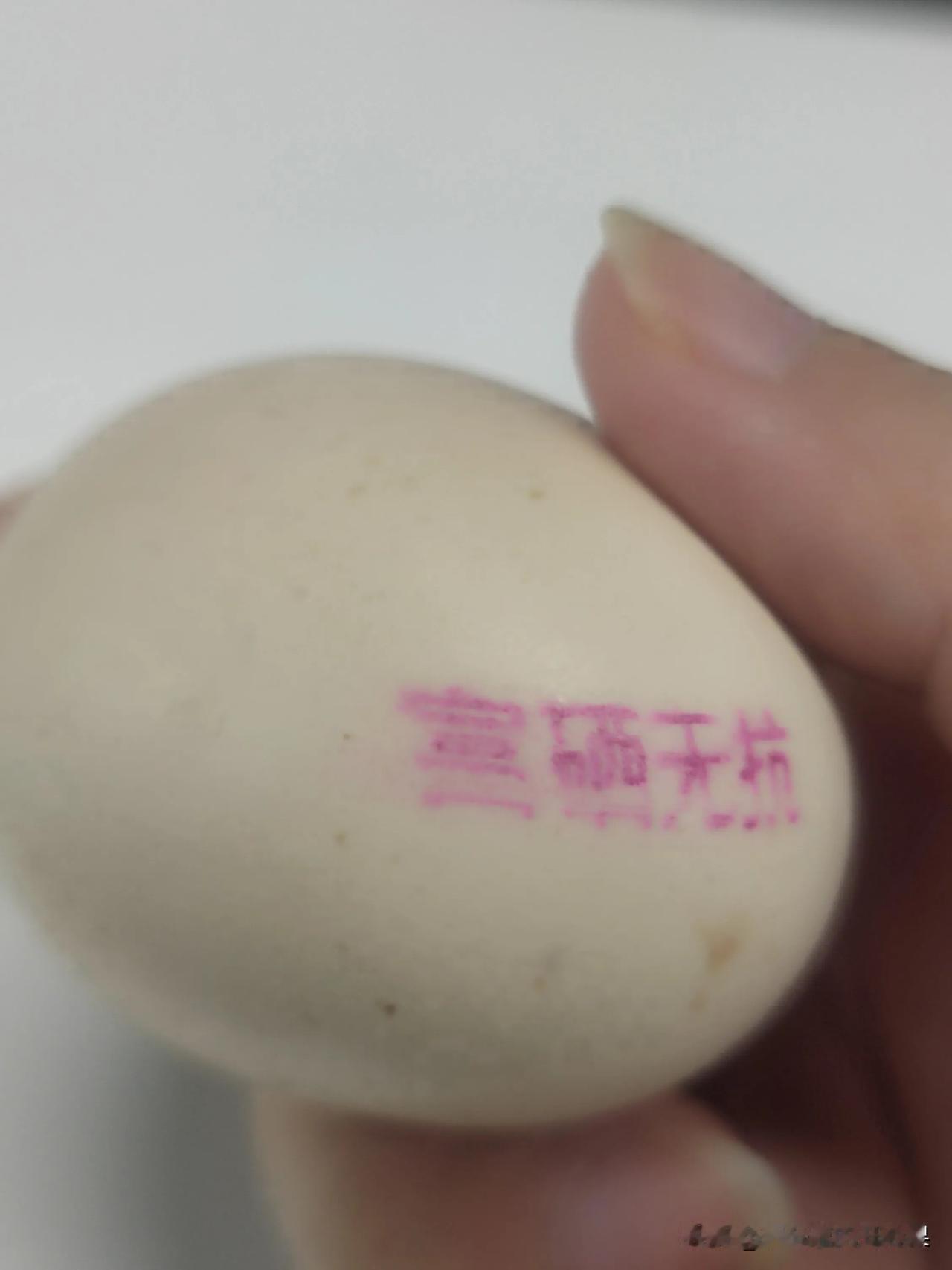 你知道富硒无抗的鸡蛋跟普通鸡蛋比有什么区别吗？

它比一般鸡蛋贵！！！

也不知