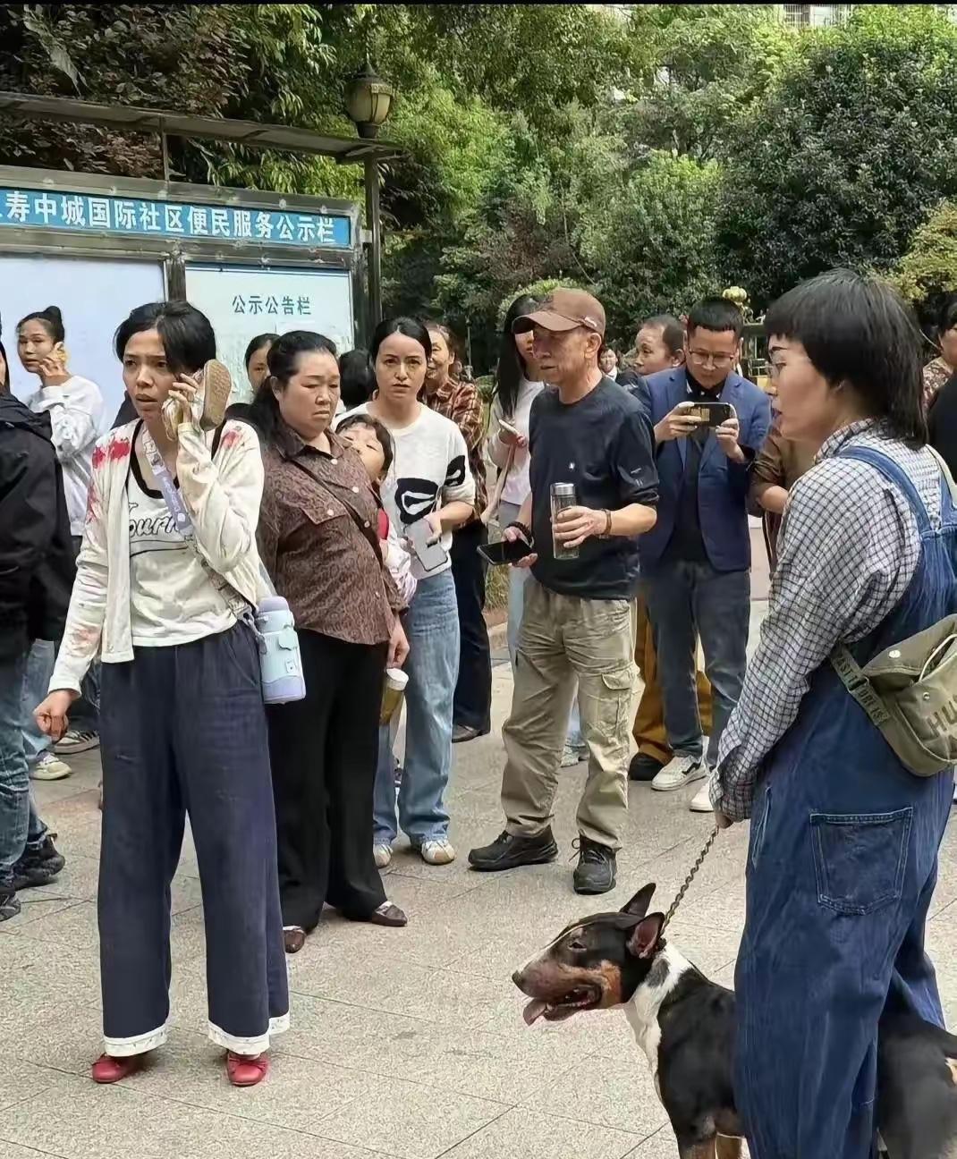 城市里禁养的烈性犬咬伤多人，这位女主人被刑事拘留一点也不冤枉。也给其他养狗人提一