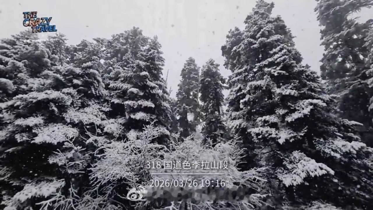 姚琛带妈妈去西藏遇暴雪 看姚琛vlog看到他跟妈妈堵在暴雪里，说实话有点后怕。海
