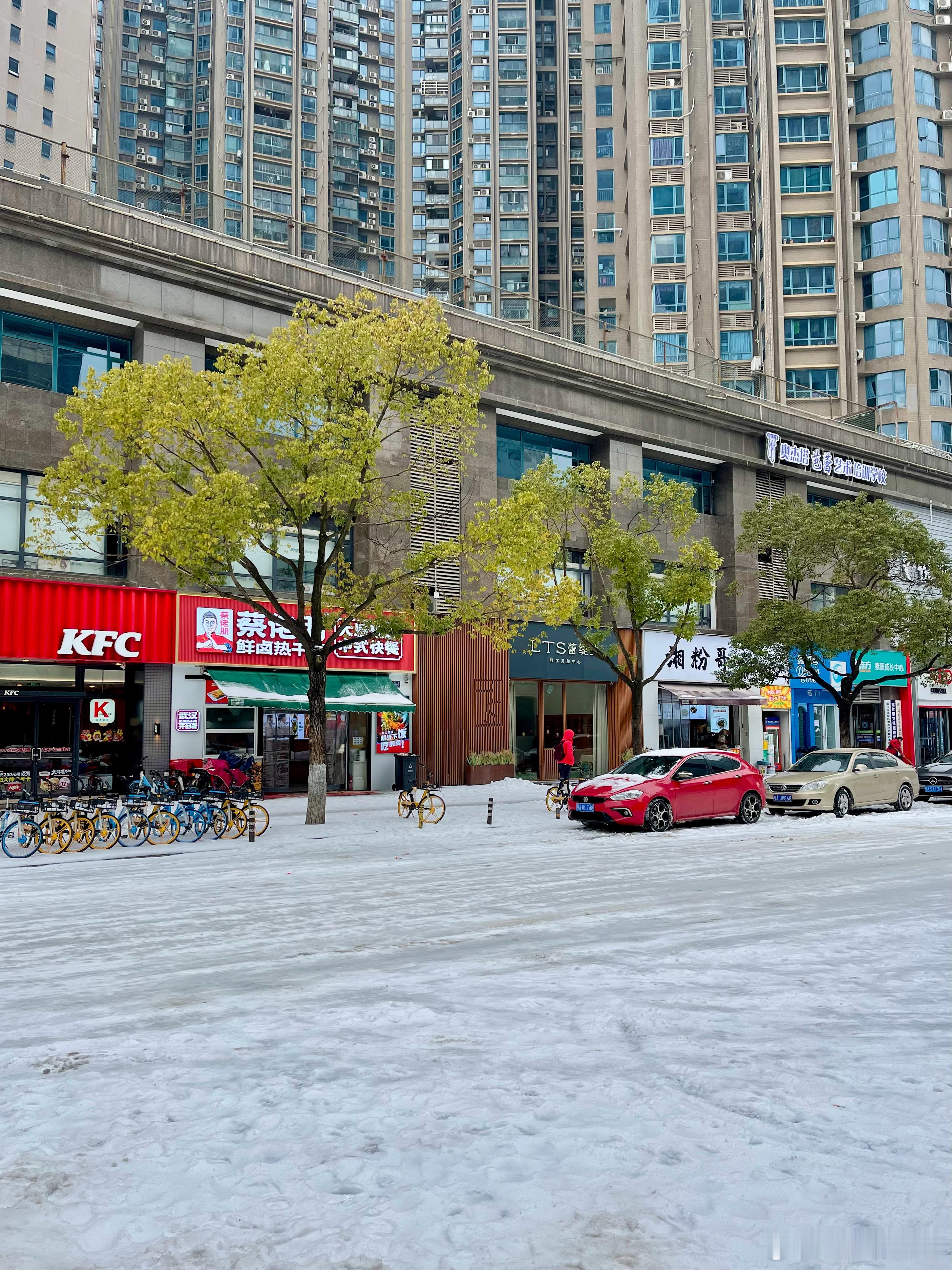 来武汉看个雪❄️ ​​​