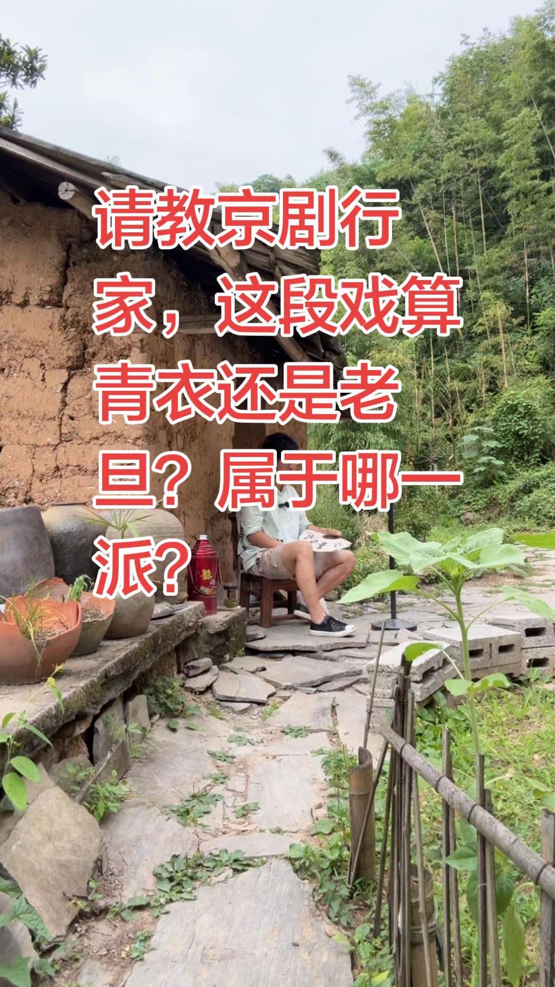 这段唱算是青衣还是老旦？京剧 京剧名段欣赏