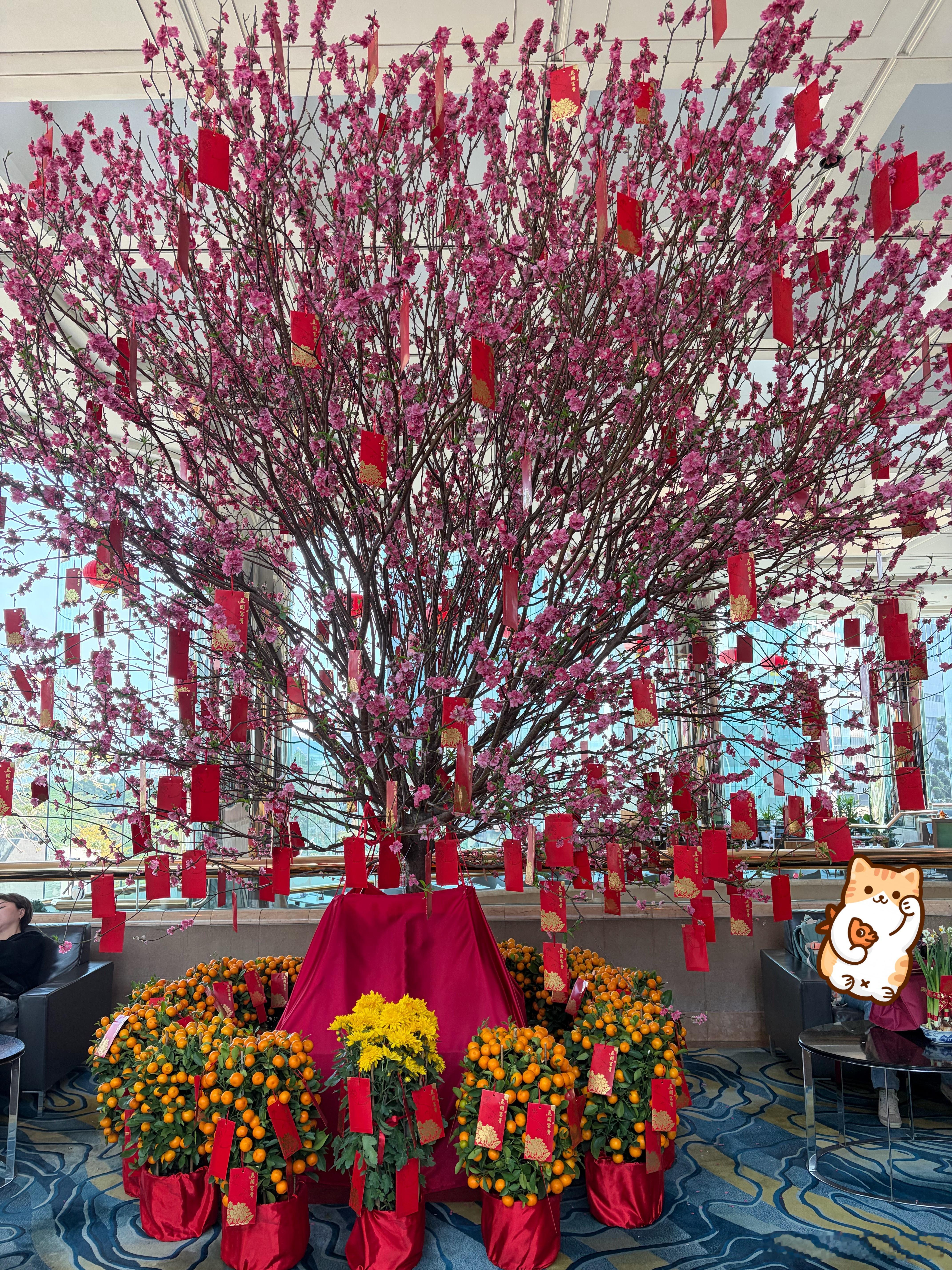 桃花朵朵开，财源滚滚来。 