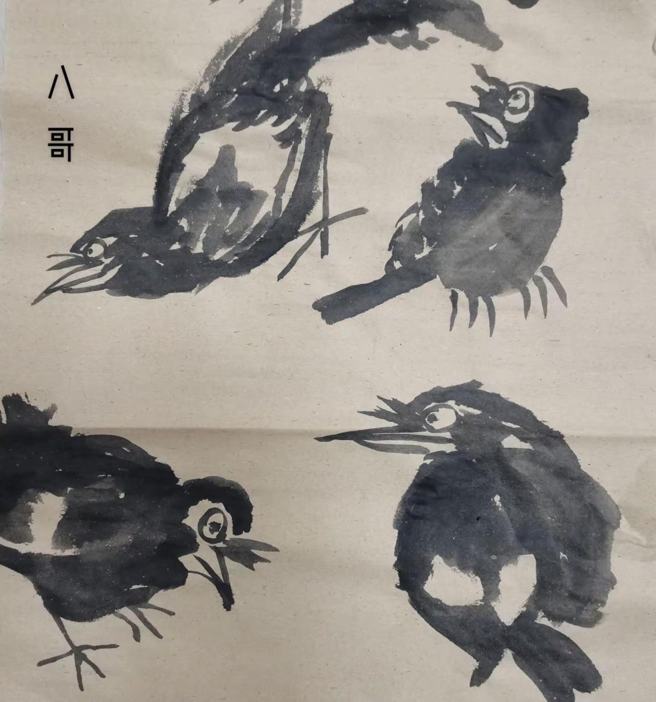 跟着老师画八哥。水墨大写意 写意画鸟