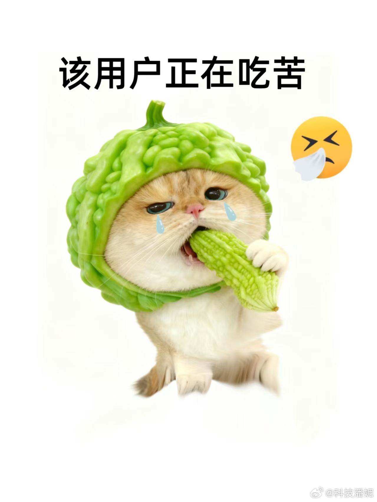 我去，我这是又复阳了吗？起因就是晚上嘴馋吃了鱼尾，结果辣得不行就喝了一瓶冰可乐然