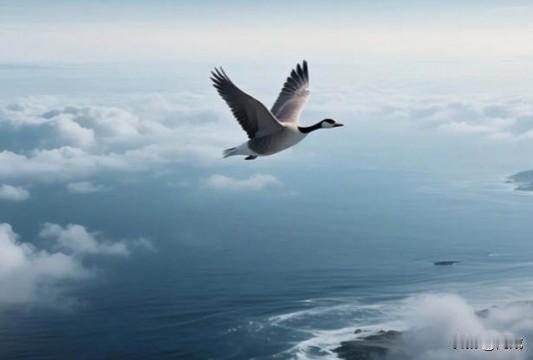 到底是经历了什么，才能写出如此戳心的诗词。行尽千山，身似孤鸿。

字字如刃，藏尽