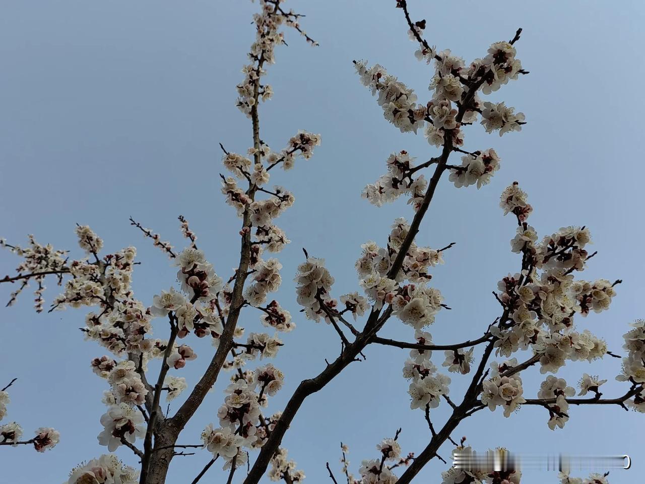 今天和小儿学到了
我已经忘记的差不多了吧
今天忽然听小儿说起来自由电子的性质
在
