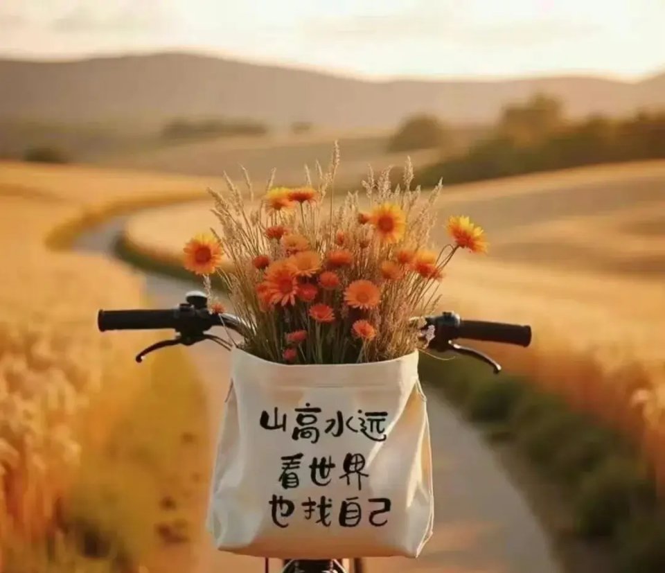 🌻               这么烂的结局               配不