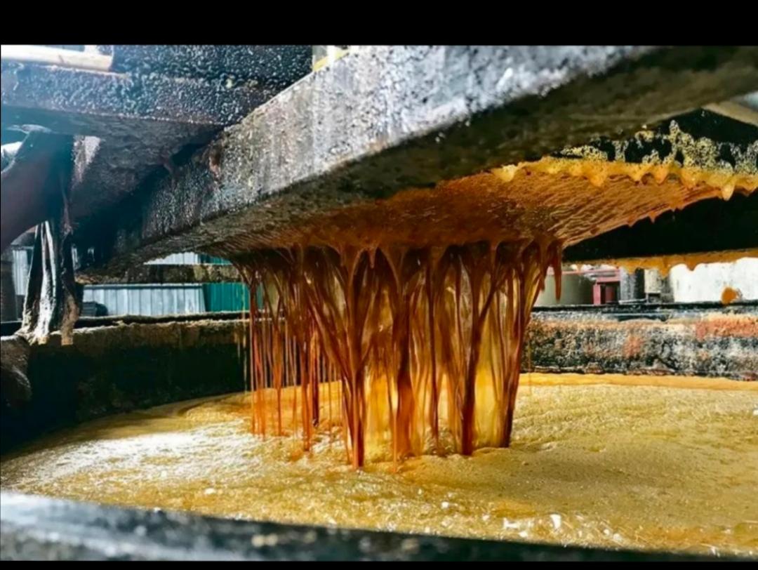 当年人人喊打的地沟油，如今一吨上万，全球各国抢着进口，咋回事?

十几年前，地沟