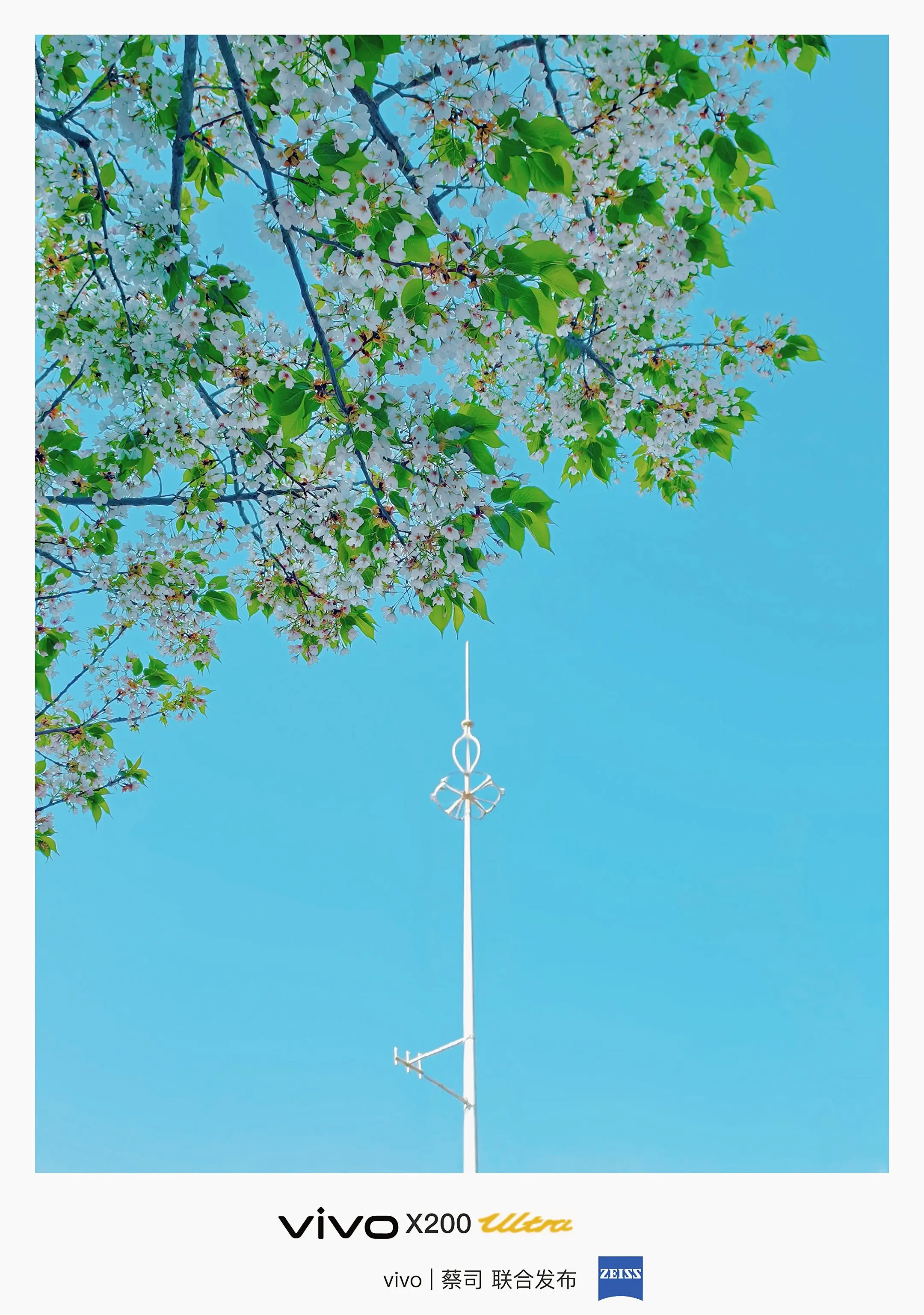 你的vivo有没有帮你拍到你想拍的风景？内容：随手拍自然万物 设备：v...