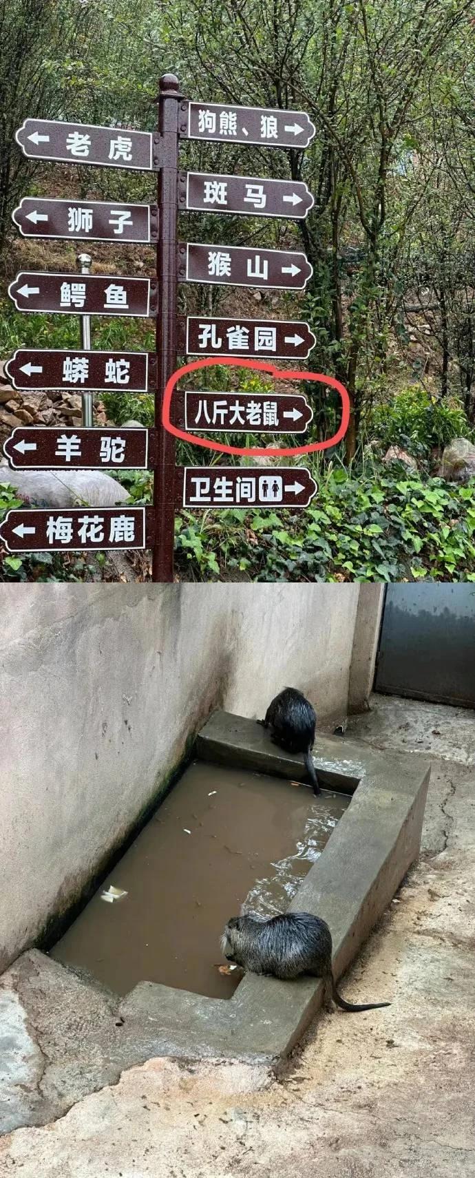 我看到了[泪奔]