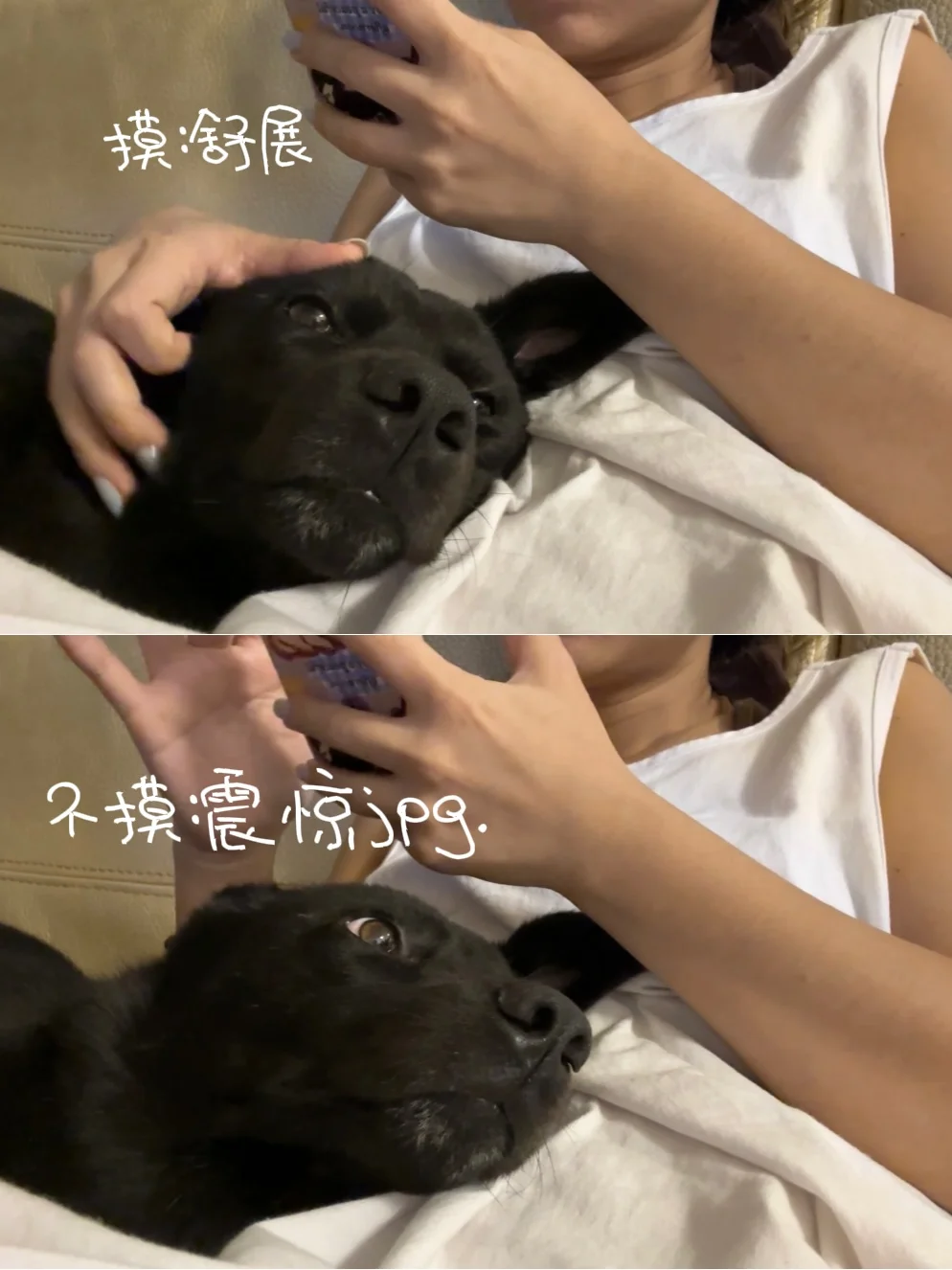 你们看他！