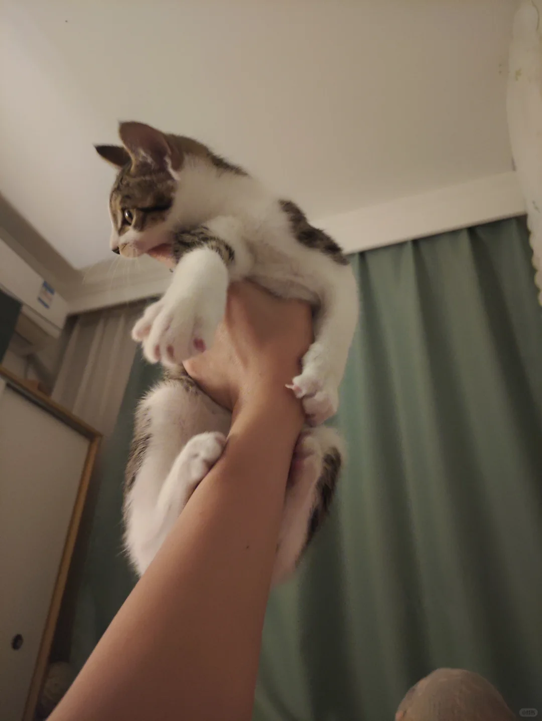 看图片，写800作文……