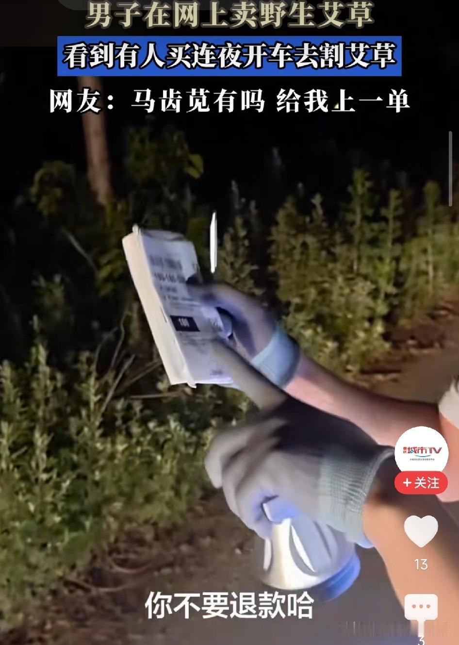 笑不活了！山东，男子随手拍路边艾草问“有人要吗”，湖南网友真下单了，卖家凌晨看到